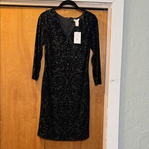 Elegant Black Velvet Dress (Cache/Sz 8)